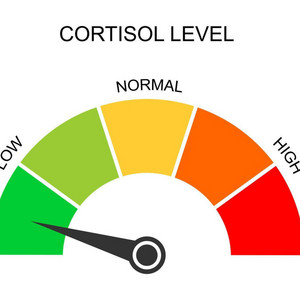 Low cortisol Blank Meme Template