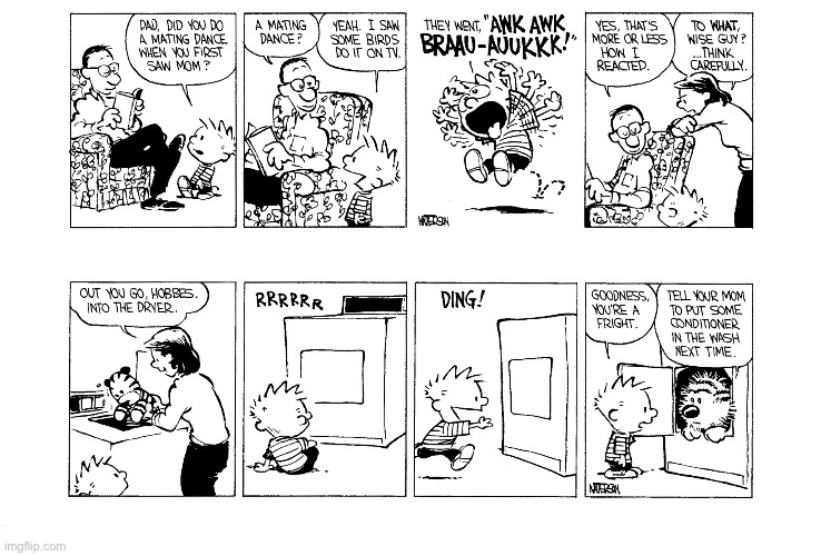 image tagged in calvin and hobbes,comics | made w/ Imgflip meme maker