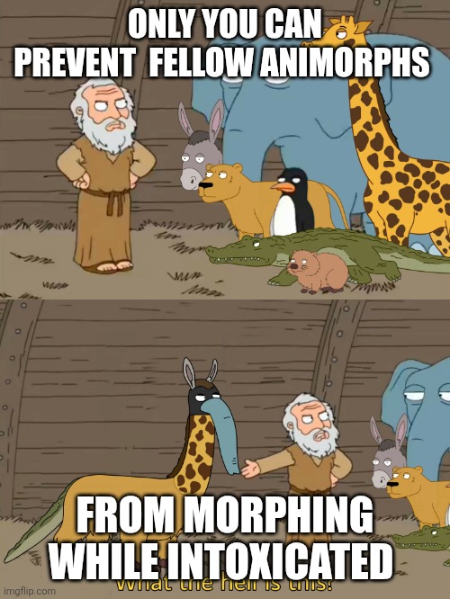 Family guy Noah | ONLY YOU CAN PREVENT  FELLOW ANIMORPHS; FROM MORPHING WHILE INTOXICATED | image tagged in family guy noah | made w/ Imgflip meme maker
