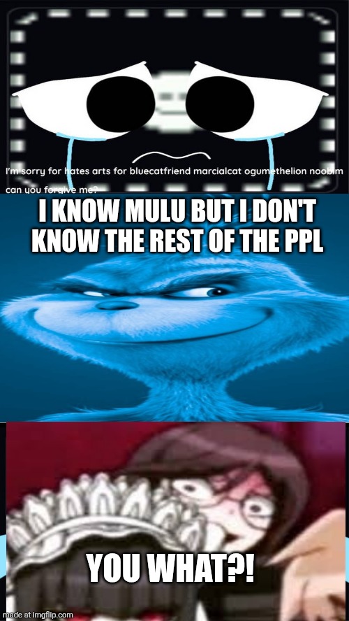 Ruin This Fill In Meme!!!!!!!!!!!!!!!!!!!!!!!!!!!!!!!!!!!!! #540 | I KNOW MULU BUT I DON'T KNOW THE REST OF THE PPL; YOU WHAT?! | image tagged in ruin this fill in meme 540 | made w/ Imgflip meme maker