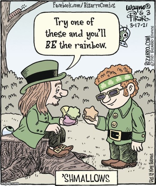 image tagged in leprechaun,lucky charms,marshmallows,shrooms,st patrick's day,happy st patrick's day | made w/ Imgflip meme maker