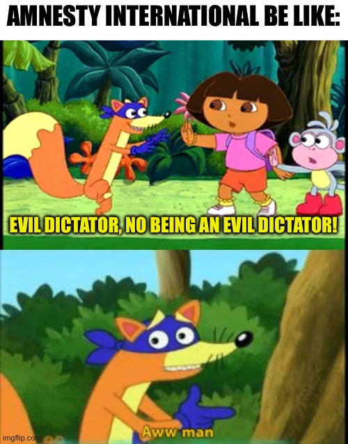 AMNESTY INTERNATIONAL BE LIKE:; EVIL DICTATOR, NO BEING AN EVIL DICTATOR! | image tagged in swiper no swiping,swiper aww man | made w/ Imgflip meme maker
