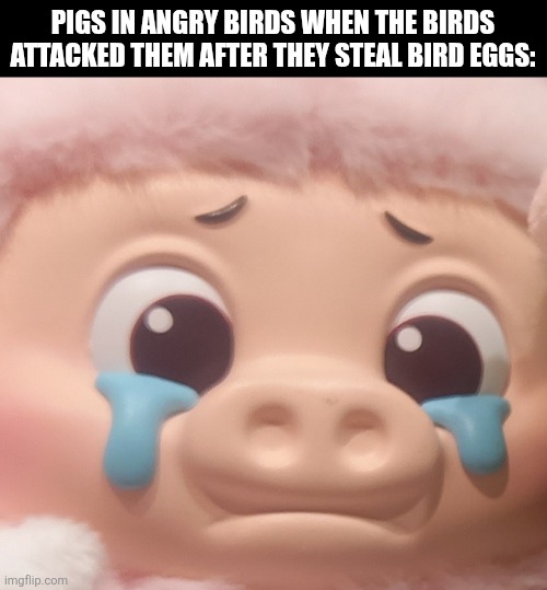 PIGS IN ANGRY BIRDS WHEN THE BIRDS ATTACKED THEM AFTER THEY STEAL BIRD EGGS: | image tagged in memes,angry,birds | made w/ Imgflip meme maker