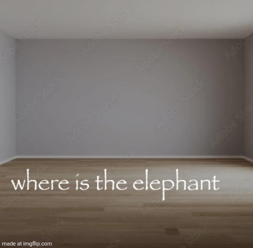 where is the elephant | image tagged in where is the elephant | made w/ Imgflip meme maker
