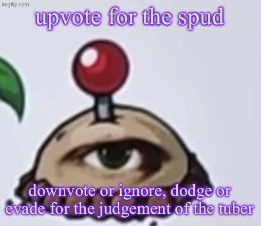 the potato | upvote for the spud; downvote or ignore, dodge or evade for the judgement of the tuber | image tagged in the potato | made w/ Imgflip meme maker