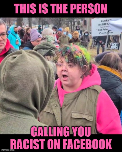A new SJW meme for us to laugh at | THIS IS THE PERSON; CALLING YOU RACIST ON FACEBOOK | image tagged in sjw,sjw triggered,leftists,pronouns | made w/ Imgflip meme maker