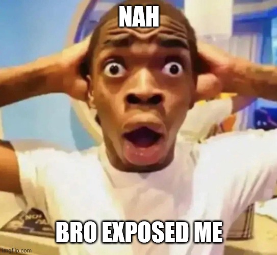 NAH BRO EXPOSED ME | image tagged in shocked black guy grabbing head | made w/ Imgflip meme maker