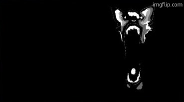 when the fajitas come out sizzling | image tagged in when the fajitas come out sizzling | made w/ Imgflip meme maker