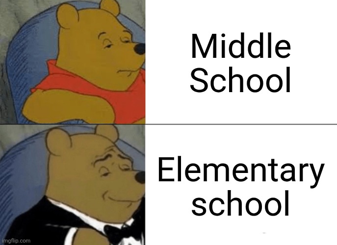 Middle school and elementary school be like | Middle School; Elementary school | image tagged in memes,tuxedo winnie the pooh,school | made w/ Imgflip meme maker