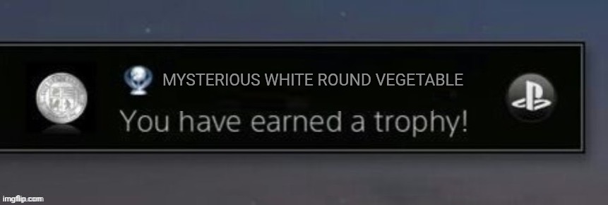 Onion | MYSTERIOUS WHITE ROUND VEGETABLE | image tagged in playstation trophy,onion,onions,mystery,mysteries,vegetable | made w/ Imgflip meme maker