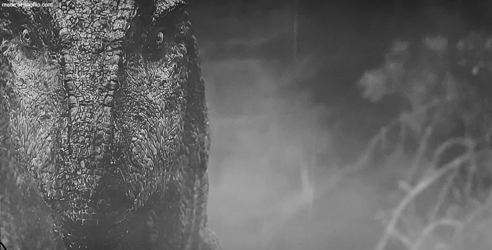 Allosaurus black and white | image tagged in allosaurus black and white | made w/ Imgflip meme maker