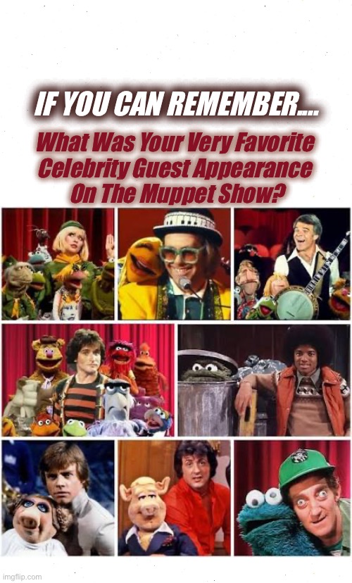 IF YOU CAN REMEMBER.... What Was Your Very Favorite 
Celebrity Guest Appearance 
On The Muppet Show? | made w/ Imgflip meme maker
