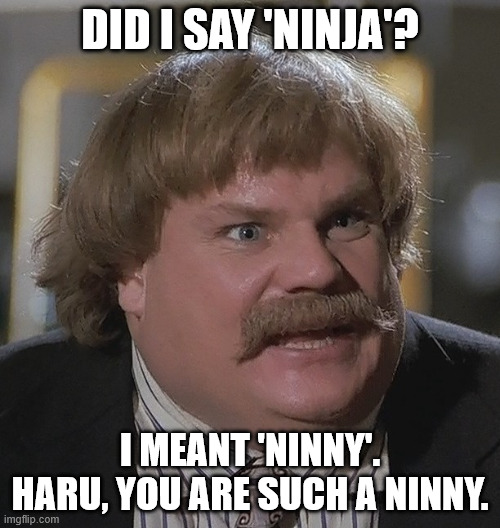 Ninny | DID I SAY 'NINJA'? I MEANT 'NINNY'. HARU, YOU ARE SUCH A NINNY. | image tagged in ninja | made w/ Imgflip meme maker