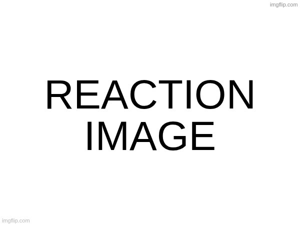 REACTION IMAGE | image tagged in reaction image | made w/ Imgflip meme maker