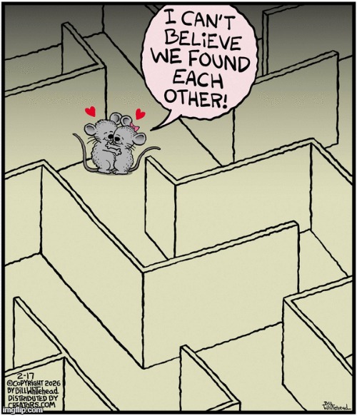 Free Range | image tagged in comics | made w/ Imgflip meme maker