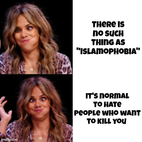 Hot Halle Berry | There is no such thing as "Islamophobia" It's normal to hate people who want to kill you | image tagged in hot halle berry | made w/ Imgflip meme maker