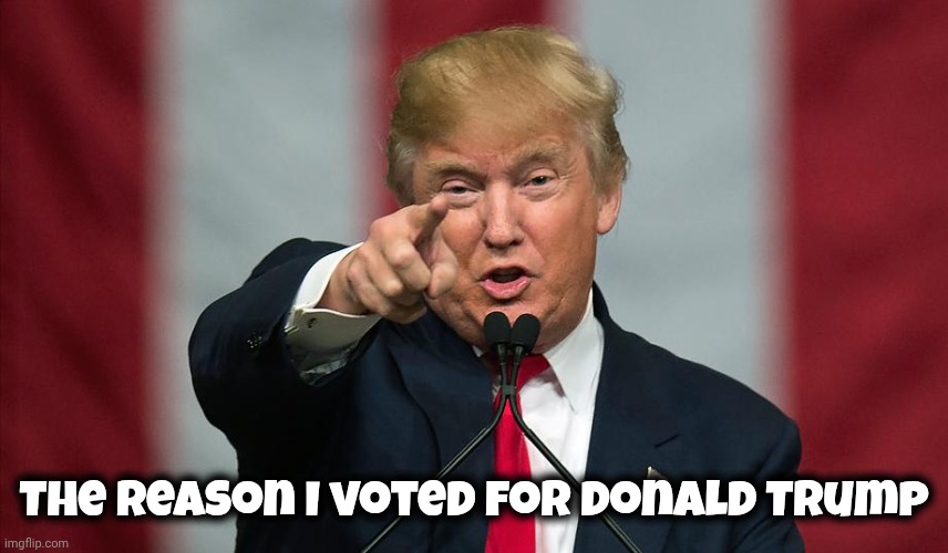 Donald Trump Birthday | The reason I voted for Donald Trump | image tagged in donald trump birthday | made w/ Imgflip meme maker