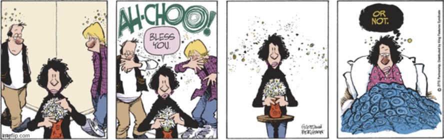 Zits | image tagged in comics | made w/ Imgflip meme maker