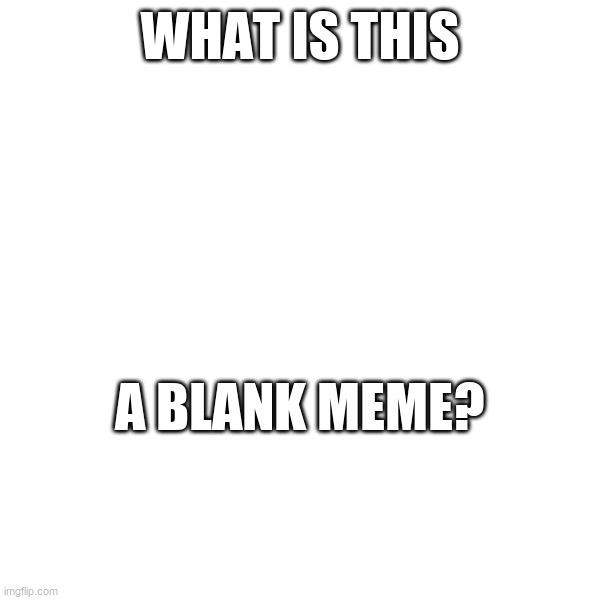WHAT IS THIS; A BLANK MEME? | made w/ Imgflip meme maker