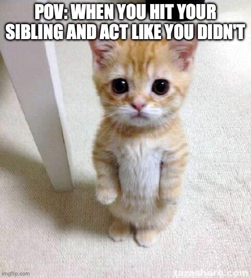 sibling | POV: WHEN YOU HIT YOUR SIBLING AND ACT LIKE YOU DIDN'T | image tagged in memes,cute cat,siblings | made w/ Imgflip meme maker