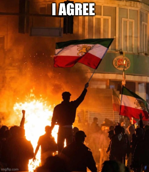Iran Cracks Down on Protests | I AGREE | image tagged in iran cracks down on protests | made w/ Imgflip meme maker
