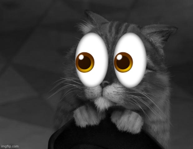 puss in boots eyes | ? | image tagged in puss in boots eyes | made w/ Imgflip meme maker