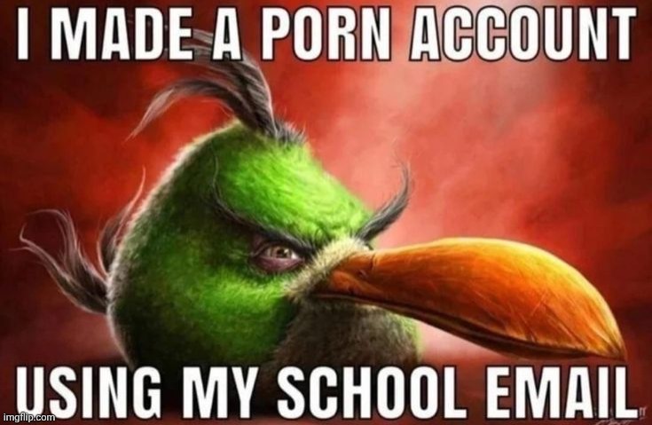 Sky by Playboi Carti | image tagged in roblox | made w/ Imgflip meme maker