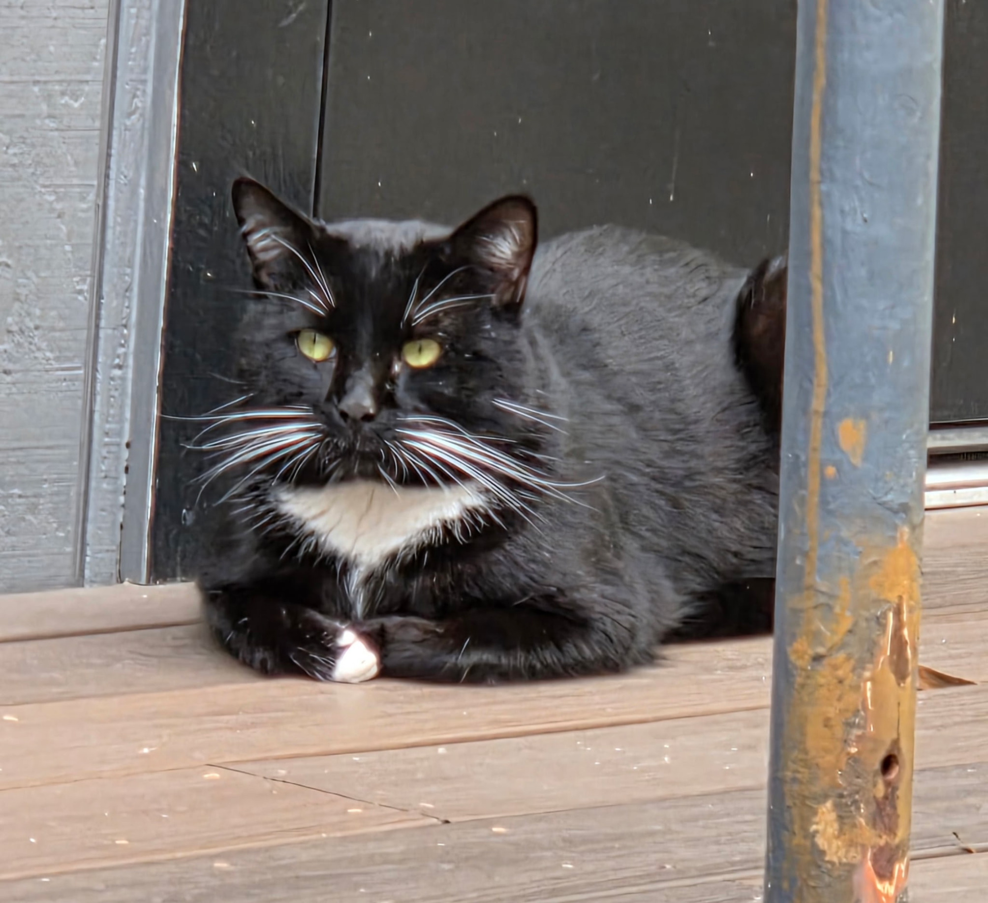 Lil Boi Blank Meme Template