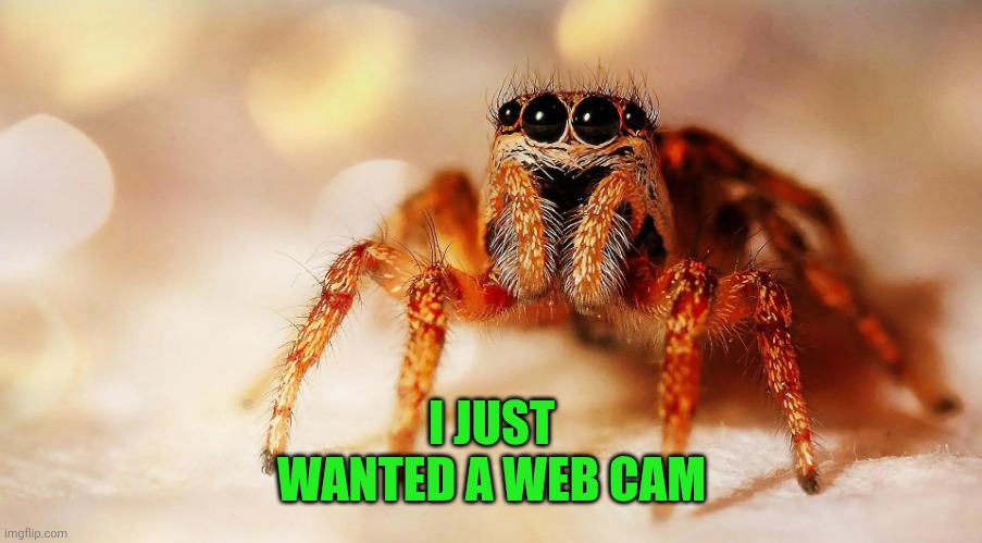 I JUST WANTED A WEB CAM | image tagged in spider | made w/ Imgflip meme maker