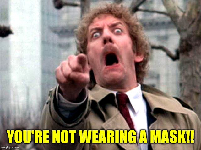 Screaming Donald Sutherland | YOU'RE NOT WEARING A MASK!! | image tagged in screaming donald sutherland | made w/ Imgflip meme maker