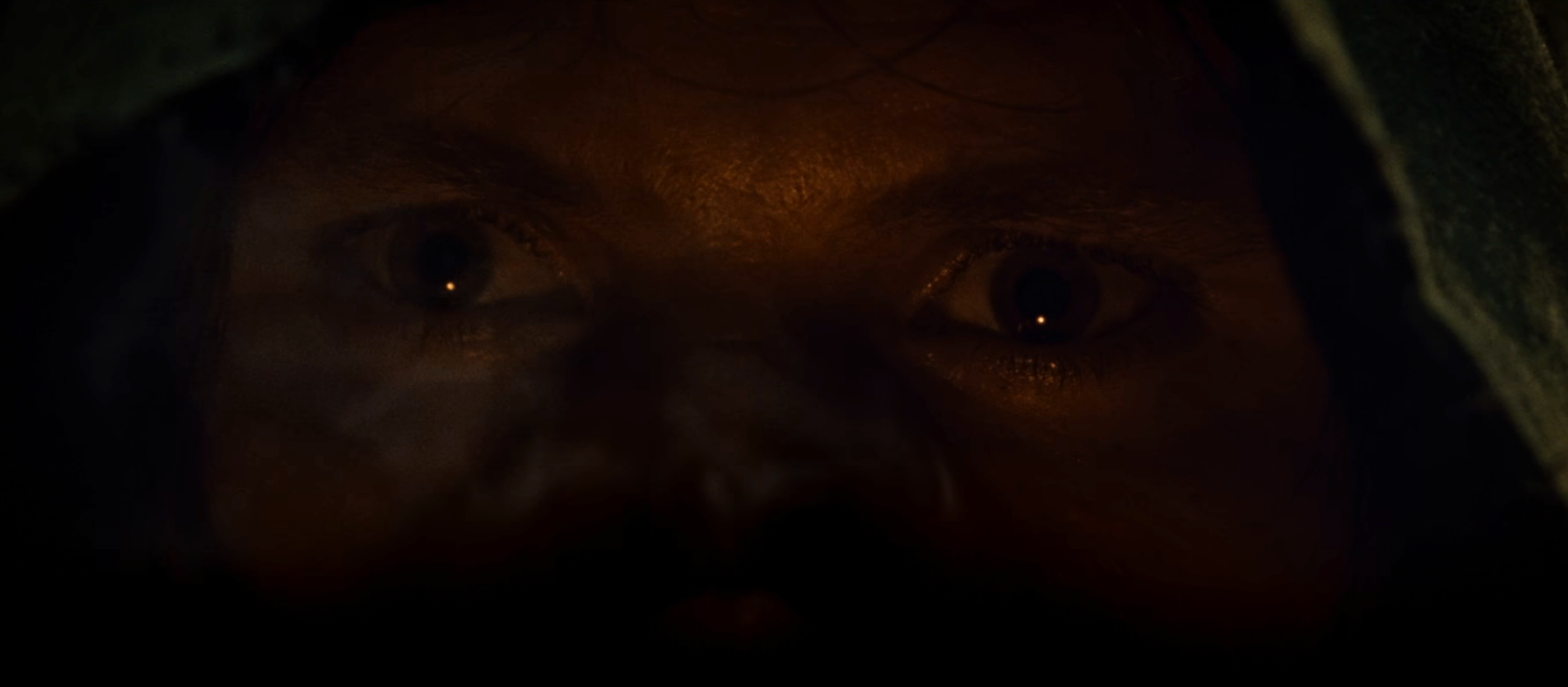 Lord of the Rings - Strider Watches Frodo Blank Meme Template