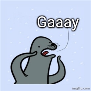 gay seal | Gaaay | image tagged in gay seal | made w/ Imgflip meme maker