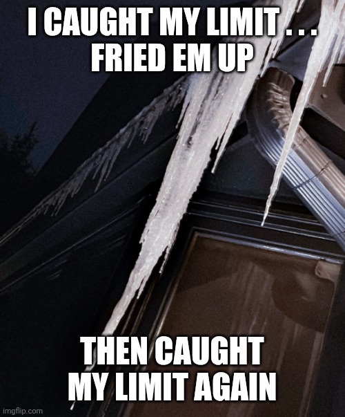 I CAUGHT MY LIMIT . . .
FRIED EM UP THEN CAUGHT MY LIMIT AGAIN | image tagged in icicles | made w/ Imgflip meme maker