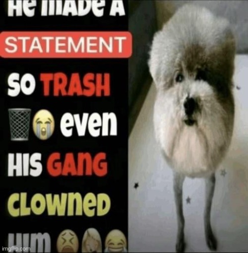 made w/ Imgflip meme maker