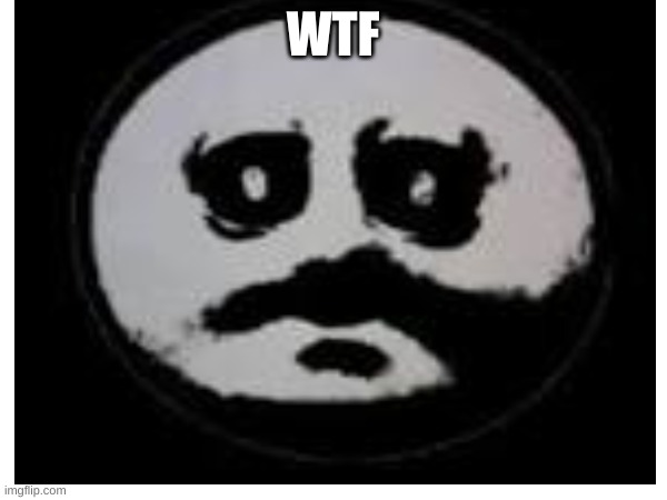 WTF | made w/ Imgflip meme maker