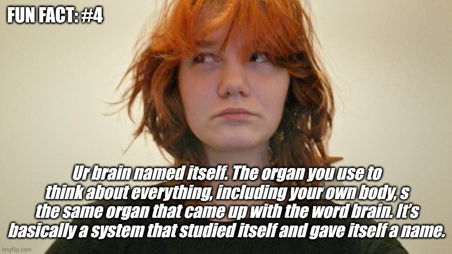 Fun fact of the day! | FUN FACT: #4; Ur brain named itself. The organ you use to think about everything, including your own body, s the same organ that came up with the word brain. It’s basically a system that studied itself and gave itself a name. | image tagged in fun fact of the day | made w/ Imgflip meme maker