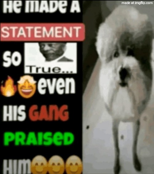 he made a statement so true | image tagged in he made a statement so true | made w/ Imgflip meme maker