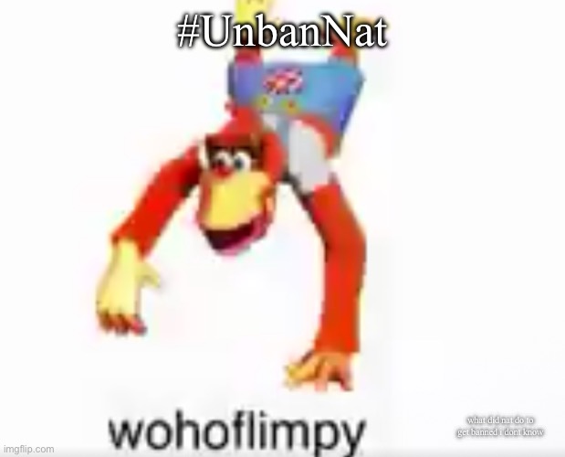 wohoflimpy | #UnbanNat; what did nat do to get banned i dont know | image tagged in wohoflimpy | made w/ Imgflip meme maker