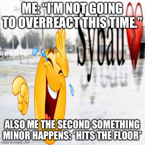Sybau empty | ME: “I’M NOT GOING TO OVERREACT THIS TIME.” ALSO ME THE SECOND SOMETHING MINOR HAPPENS: *HITS THE FLOOR* | image tagged in sybau empty | made w/ Imgflip meme maker