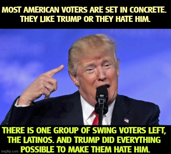 MOST AMERICAN VOTERS ARE SET IN CONCRETE. 
THEY LIKE TRUMP OR THEY HATE HIM. THERE IS ONE GROUP OF SWING VOTERS LEFT, 
THE LATINOS. AND TRUMP DID EVERYTHING 
POSSIBLE TO MAKE THEM HATE HIM. | image tagged in trump,latino,hispanic,voters,deportation,ice | made w/ Imgflip meme maker
