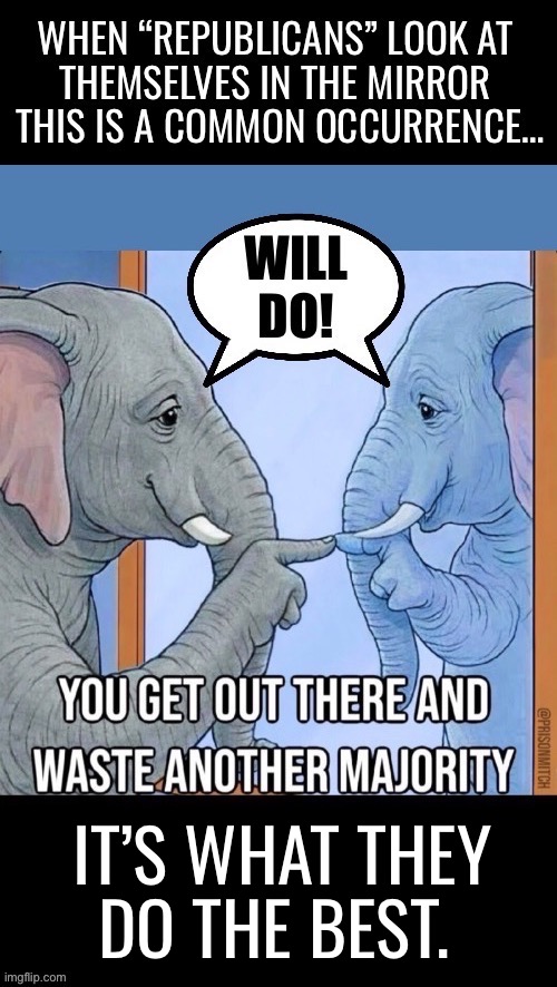 The “Republican” wing of The UniParty, hard at work… for the Democrats! | IT’S WHAT THEY
DO THE BEST. | image tagged in political meme,republicans,mirror,wasted majority,what they do the best,elephants | made w/ Imgflip meme maker