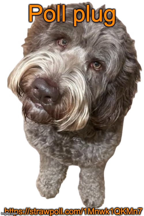 Northers Dog (Transparent) | Poll plug; https://strawpoll.com/1Mnwk1QKMn7 | image tagged in northers dog transparent,slang voting game | made w/ Imgflip meme maker