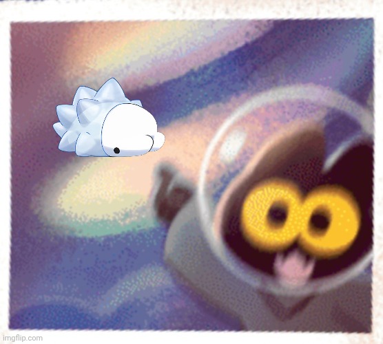 image tagged in momo the cat pog | made w/ Imgflip meme maker