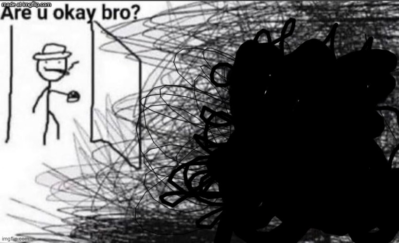 are you ok bro | image tagged in are you ok bro | made w/ Imgflip meme maker