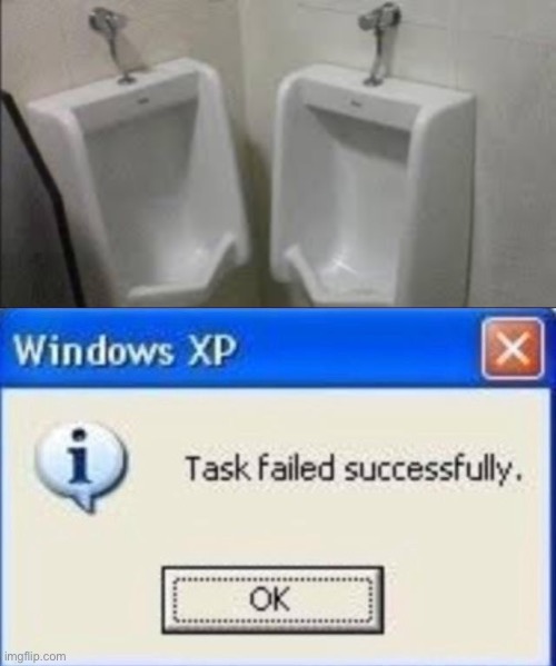 image tagged in task failed successfully | made w/ Imgflip meme maker