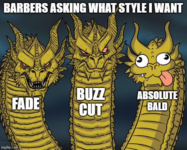 Three-headed Dragon | BARBERS ASKING WHAT STYLE I WANT; BUZZ CUT; ABSOLUTE BALD; FADE | image tagged in three-headed dragon | made w/ Imgflip meme maker