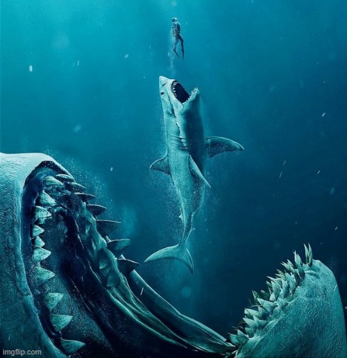 image tagged in always a bigger shark | made w/ Imgflip meme maker