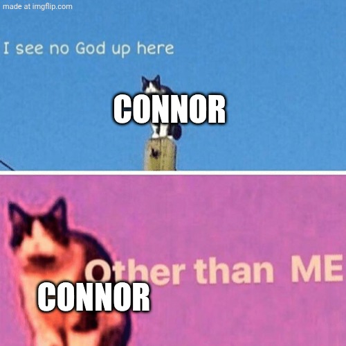 Hail pole cat | CONNOR CONNOR | image tagged in hail pole cat | made w/ Imgflip meme maker