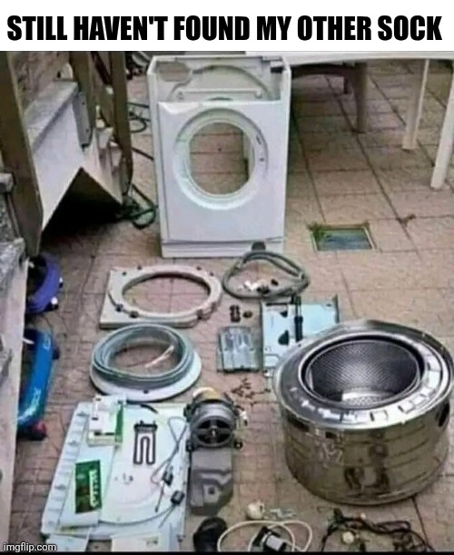 Still Haven't Found My Other Sock | STILL HAVEN'T FOUND MY OTHER SOCK | image tagged in chrisjoines1 | made w/ Imgflip meme maker