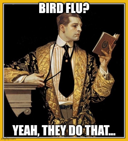 Repost | BIRD FLU? YEAH, THEY DO THAT... | image tagged in poetry dude,bird,haha,not funny | made w/ Imgflip meme maker